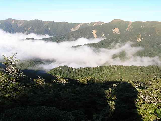 NZ leden-unor 2006 212.jpg